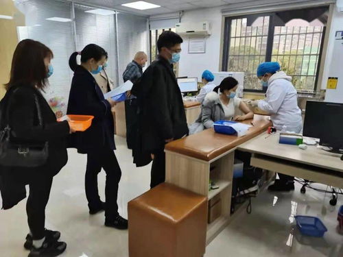 鉚足干勁辦實事，服務群眾開新局——岳麓區(qū)黨史學習教育引領教育咨詢服務新實踐